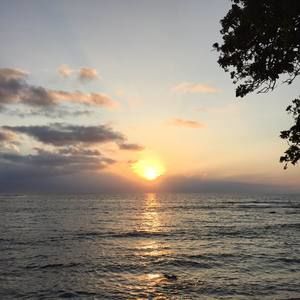 Meet your Posher, Allan